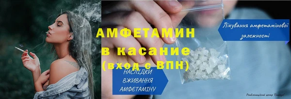 прущие грибы Баксан