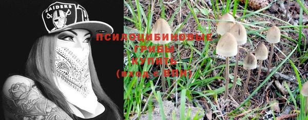 гидропоника Балахна