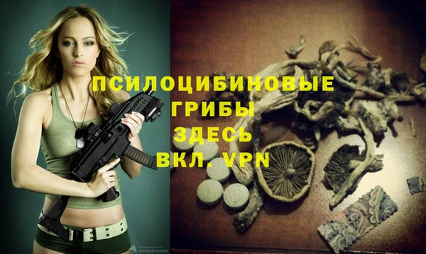 прущие грибы Баксан