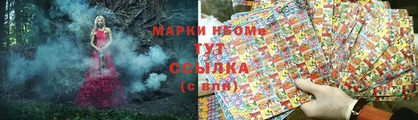 прущие грибы Баксан