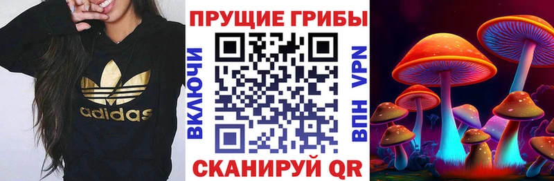 мега маркетплейс  закладка  Давлеканово  Псилоцибиновые грибы GOLDEN TEACHER 